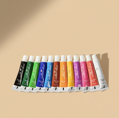 12 Extra Paint Refills